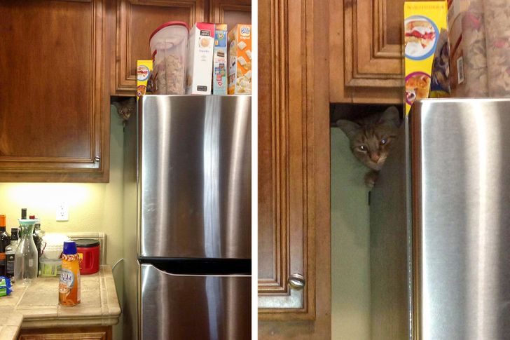 20+ Photos That Look Ordinary Until You Get a Closer Look