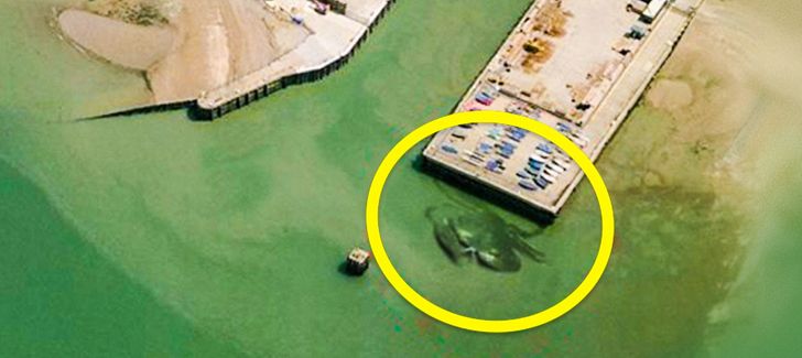 The 12 Most Controversial Things Ever Found on Google Maps
