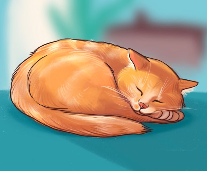 Featured image of post Cat Laying Down Drawing Cute What a beautiful shiny day