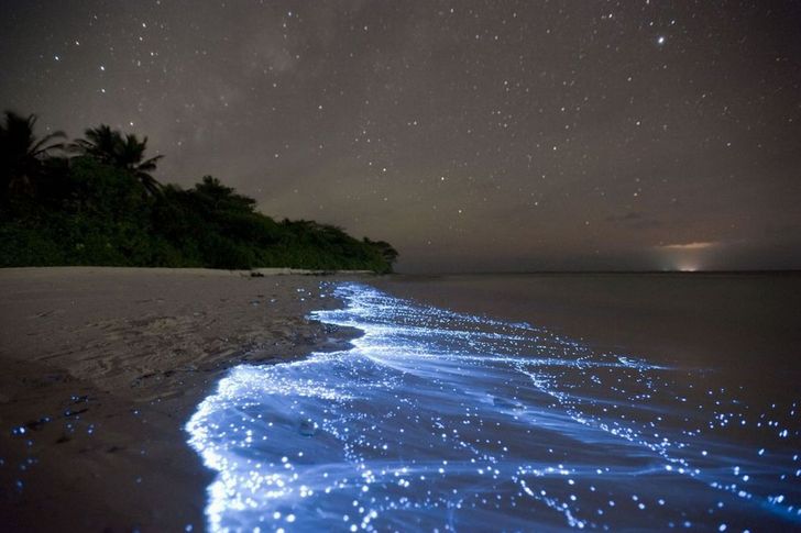 23 utterly amazing natural phenomena that are seemingly impossible