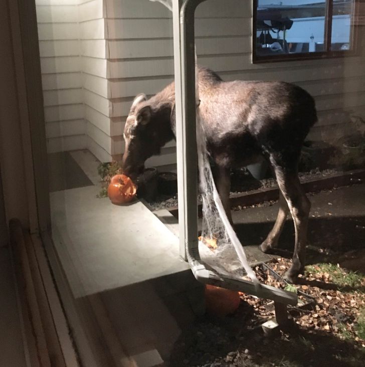 17 People Who Are Having a Very Terrible Day