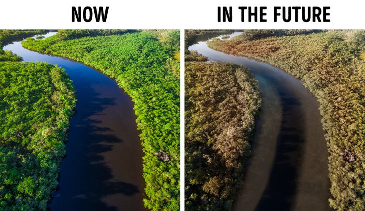 11 Things That Will Happen To Our Planet If The Amazon Rainforest Burns Down Completely