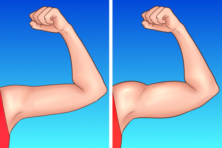 8 Terribly Easy Home Exercises To Build Arm Muscles Bright Side