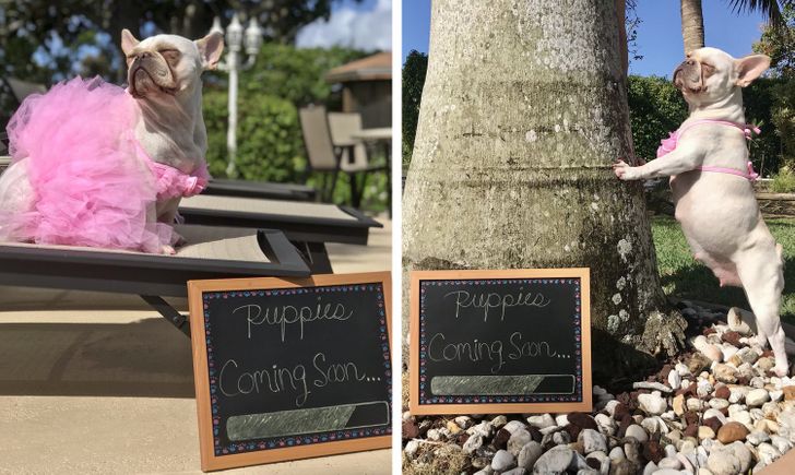 26 Cool Families That Go Crazy on a Daily Basis