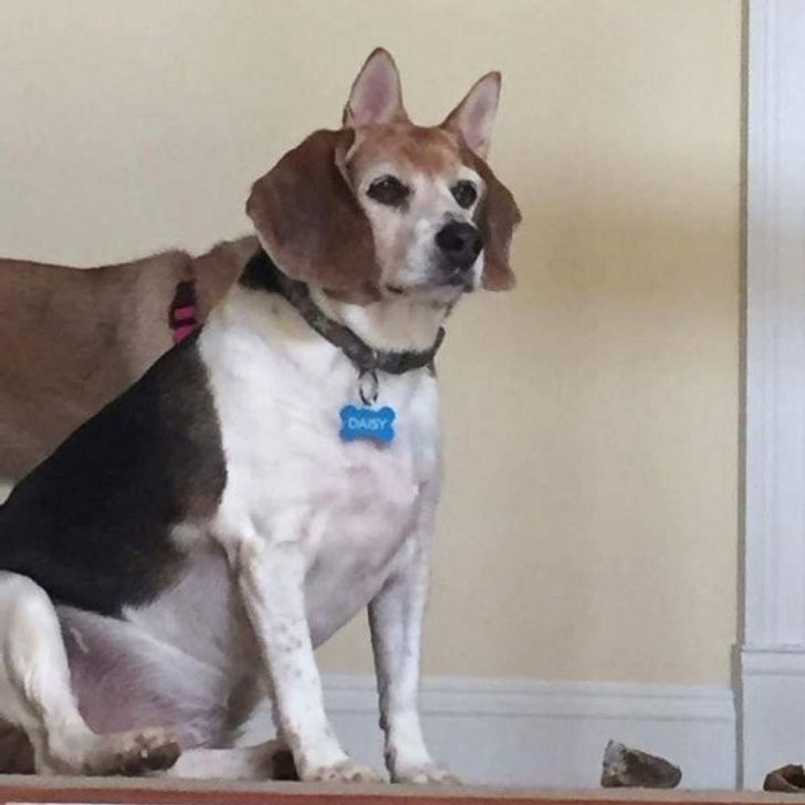 26 Photos That Will Hardly Be the Same When You Give Them a Second Look