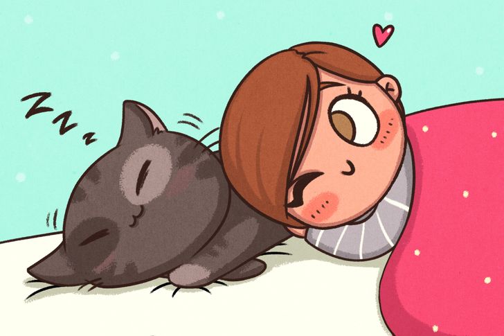 13 Comics About What We Do to Our Pets