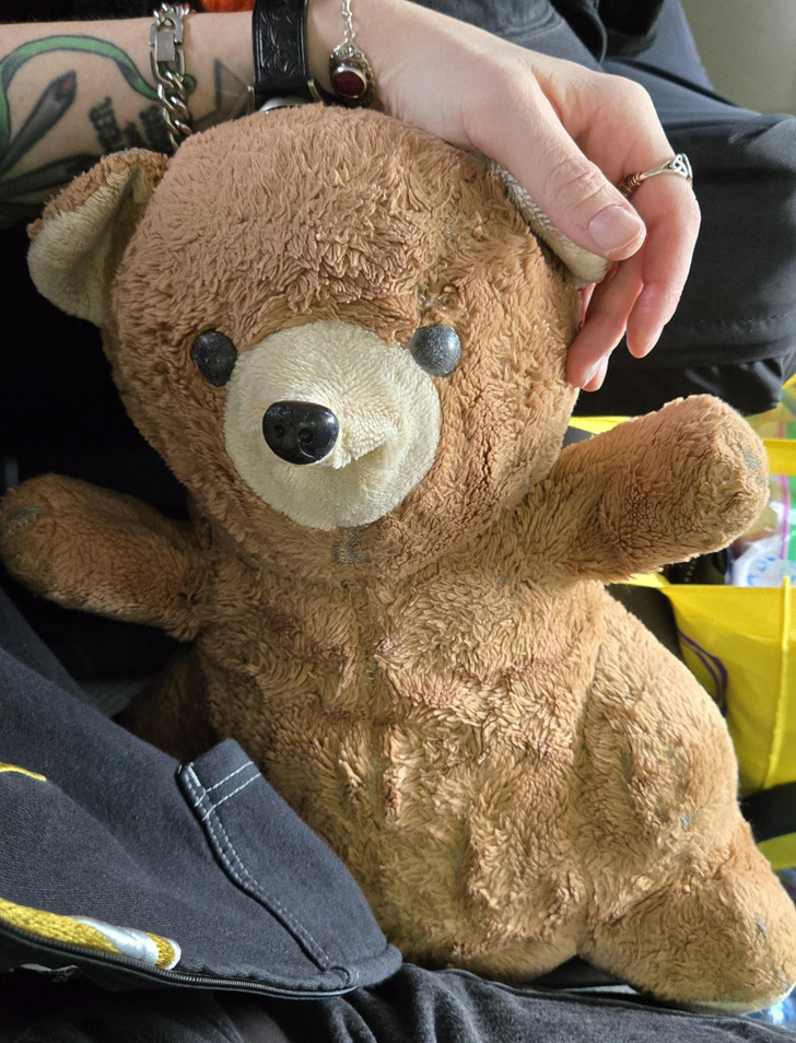 Berry, a 37-Year-Old Bear, Is Going to a Teddy Bear Hospital