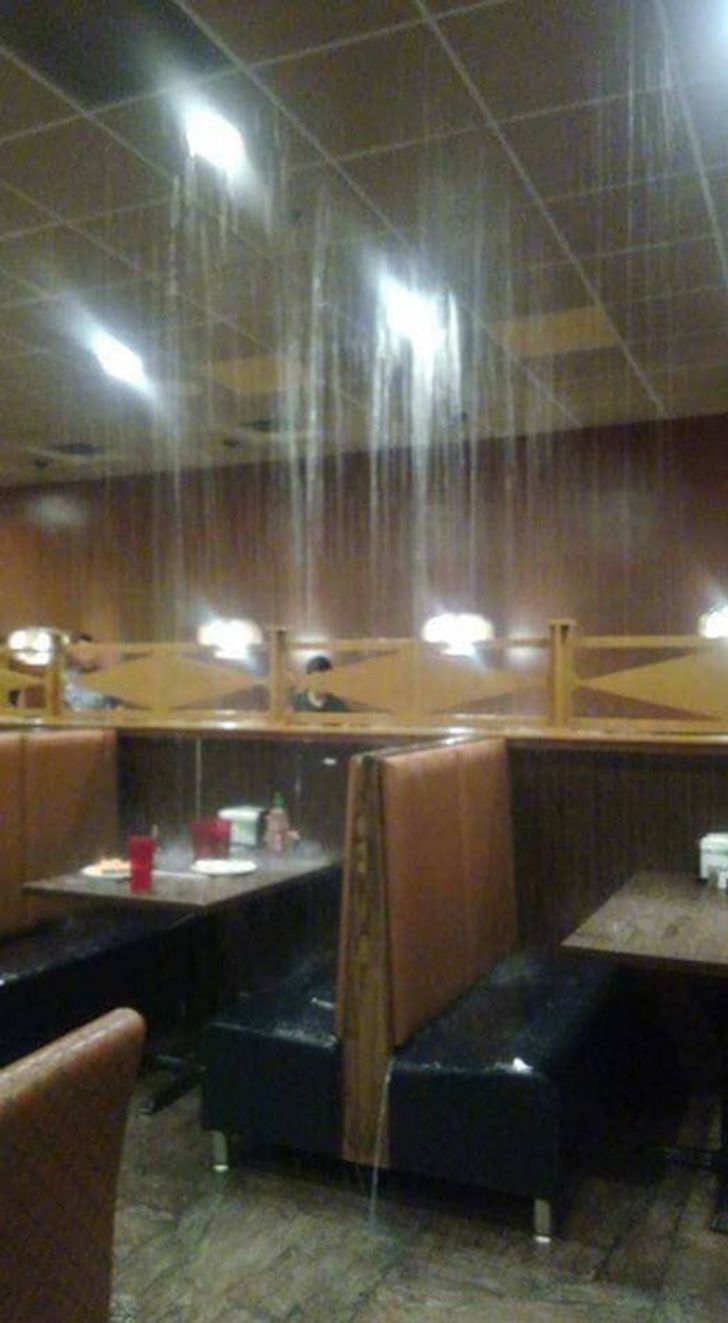 21 Photos That Are Literally Screaming for Help