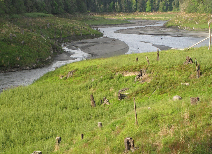 The river running through the old bed of Lake Aldwell, May 2014