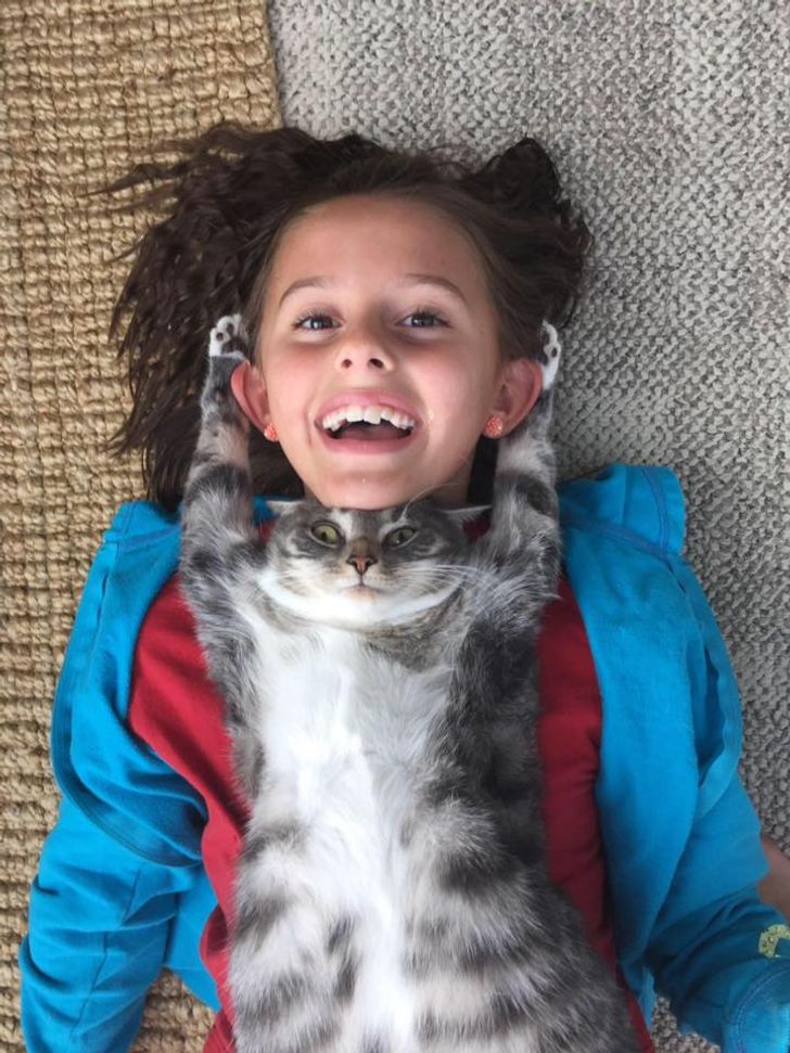 17 Cats and Dogs Who Cannot Do Without Their Humans
