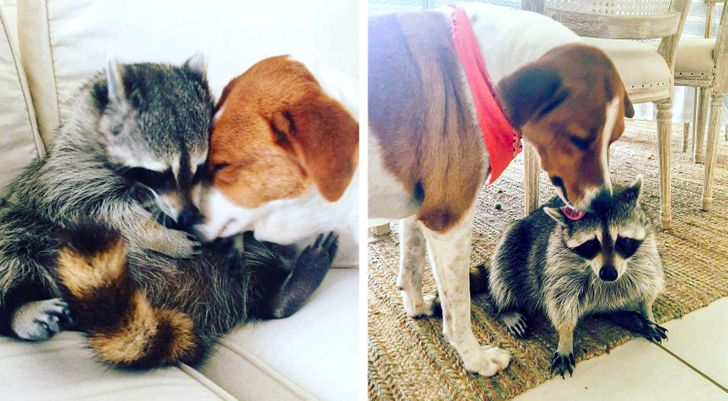15+ Photos That Show How Sweet Growing Old Together Can Be