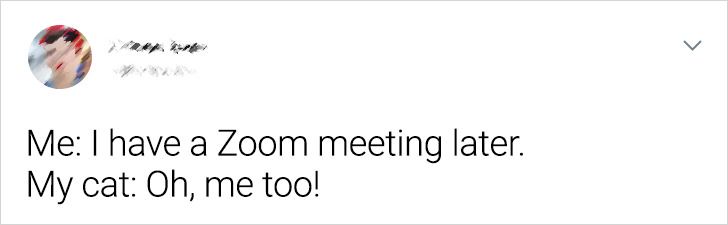 20+ Hilarious Tweets About Zoom Meetings You Can Laugh at Between Your Video Calls