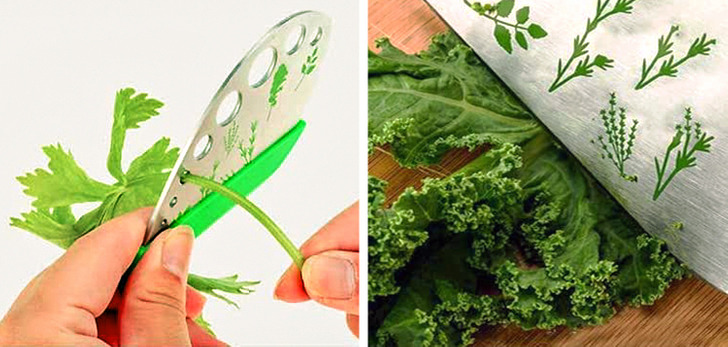 15 Essential Products For Anyone Who Wants To Eat Healthier