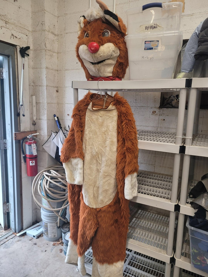 16fccd548295218dc7b5249c62 16 Thrift Store Workers Revealed the Biggest Treasures They Found Before Anyone Else Could / Bright Side