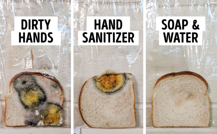 A Teacher Did an Experiment to Show the Power of Handwashing, and You Can’t Stay Unimpressed