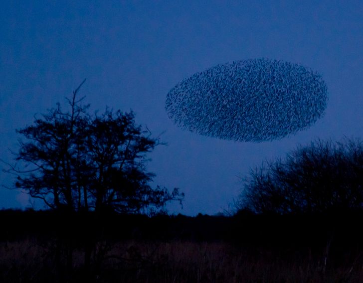 23 utterly amazing natural phenomena that are seemingly impossible