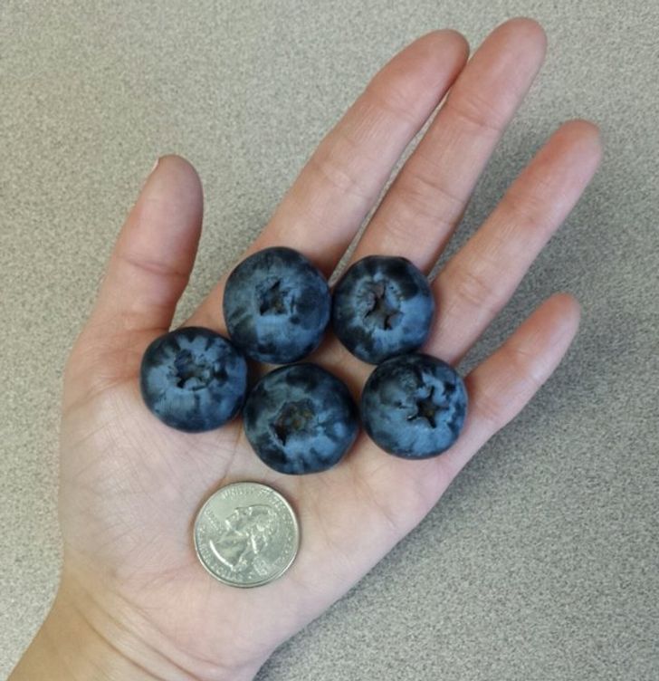 23 People Who Got Extremely Lucky When They Least Expected It