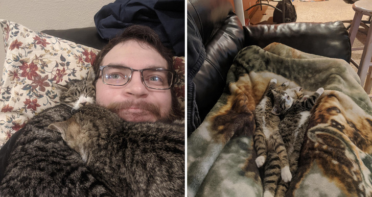 Kitten Brothers Who Became a Pair Because the Other Adopters Backed Out