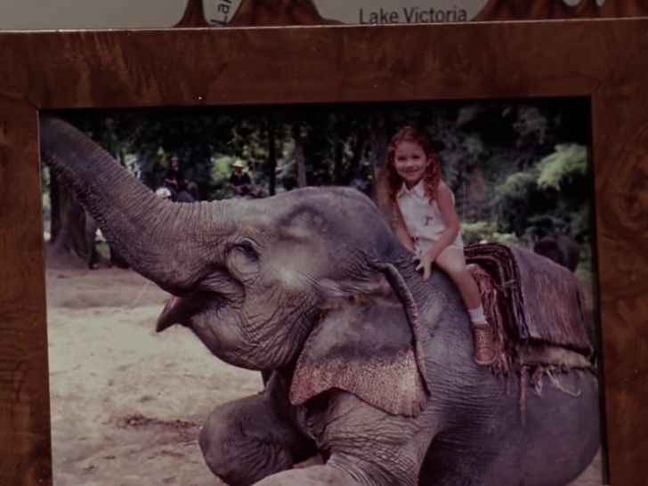  Dalam komedi Mean Girls, karakter Lindsay Lohan mengatakan bahwa dia dulu tinggal di Afrika. Namun, di foto masa kecilnya, dia duduk di atas gajah Asia, bukan gajah Afrika.