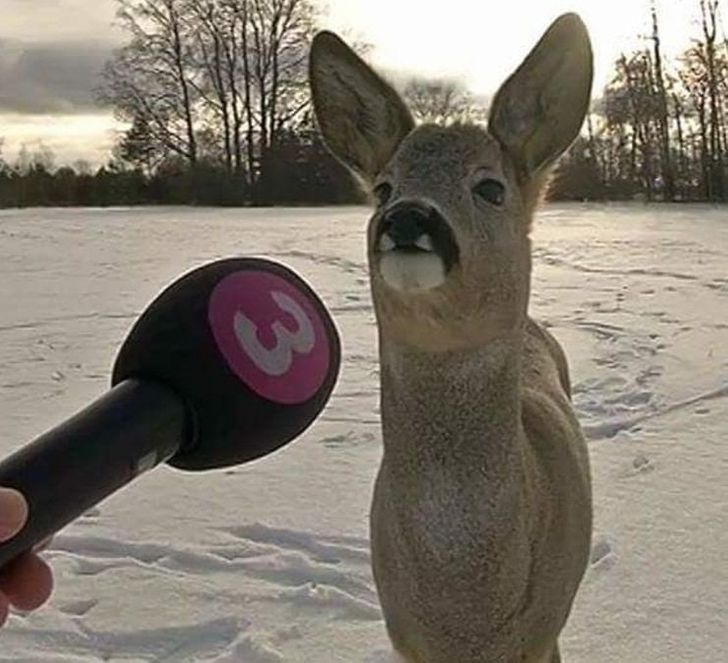 19 Strange Sights That Will Make Anyone Raise an Eyebrow