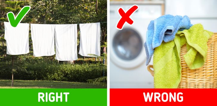 How to Make Your Bathroom Smell Good: 10 Genius Hacks to Get the Stink Out