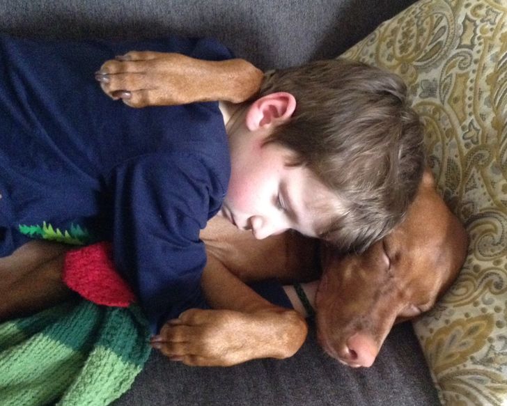 19 Pets That Put a Love Spell on Their Owners