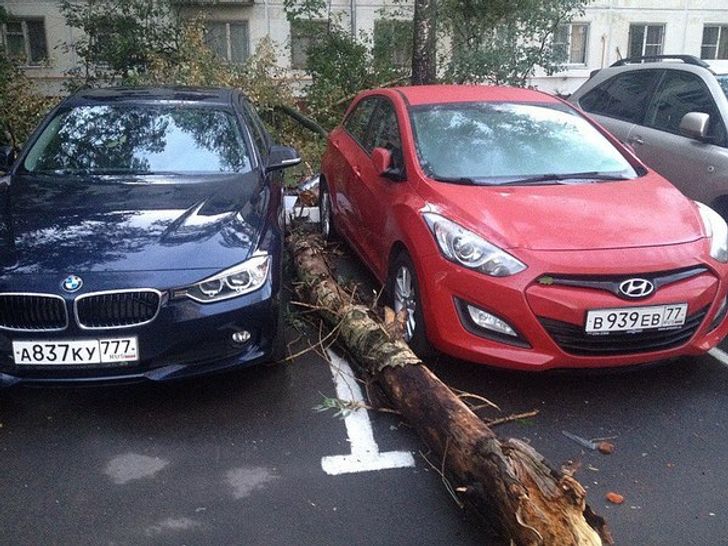 23 People Who Got Extremely Lucky When They Least Expected It