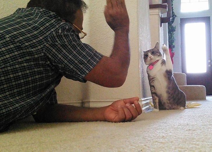 18 Pics That Prove Dads and Pets Have the Strongest Bond