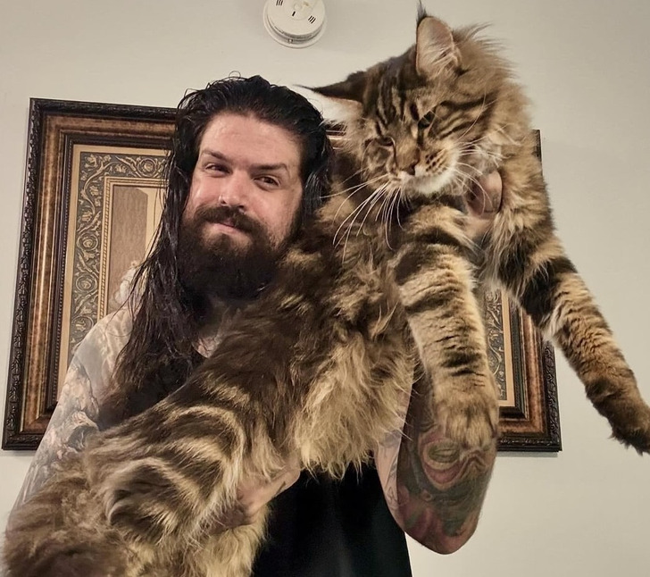 b754c35fbea1c82bc61ad4756c 20+ Photos That Prove Owners and Their Pets Are Hilariously Alike / Bright Side