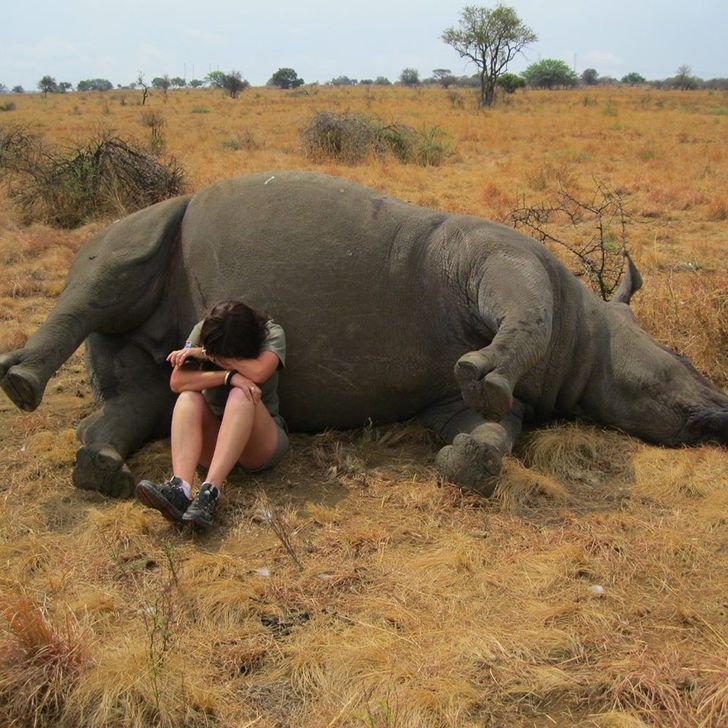 15 Photos Showing All the Love of the World