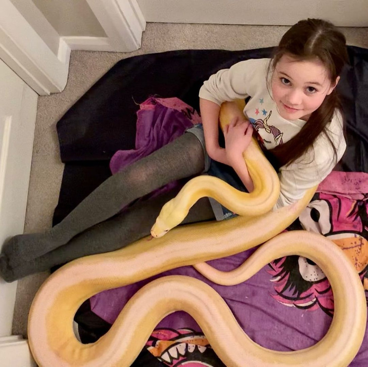 Father Thinks Snakes Are Harmless, Lets Daughter Play With Pet Python