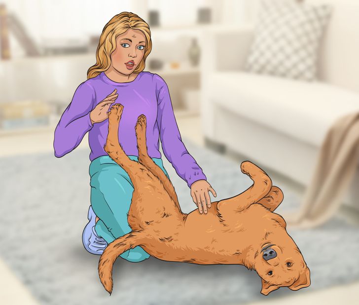 ทำไมสุนัขถึงเตะเมื่อคุณเกาท้อง