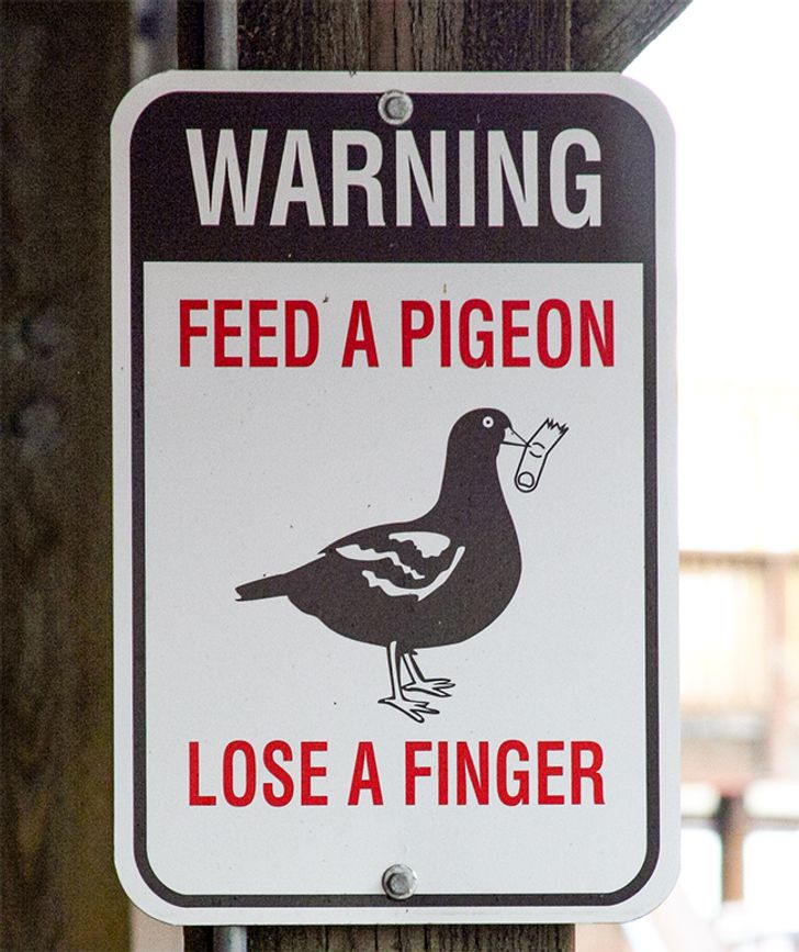 21 Puzzling and Hilarious Signs From All Over the World