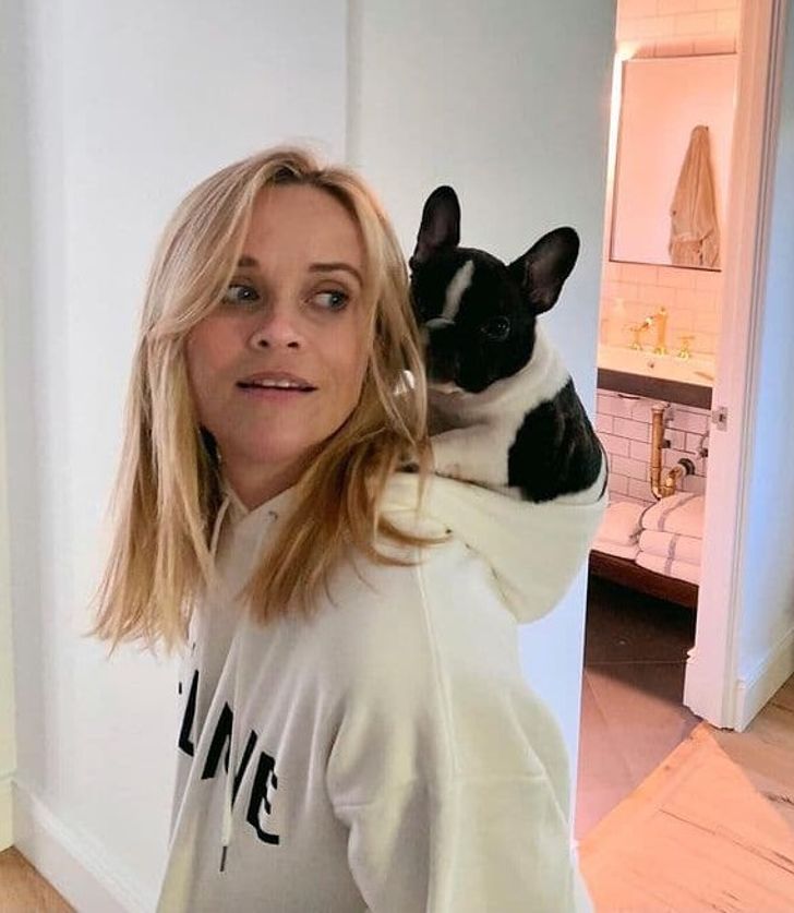 18 Pics of Celebrities and Their Pets That Can Disperse Any Gloomy Clouds With Their Preciousness