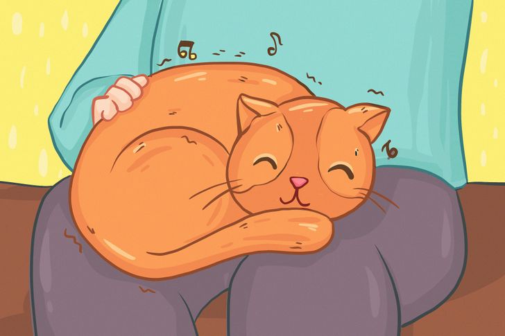 30 Cat Facts That Show How Ridiculously Cool Our Feline Friends Are