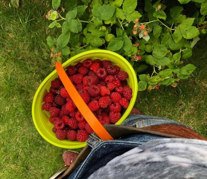 15+ Clever Gardening Tips That Can Save You Loads of Time and Money