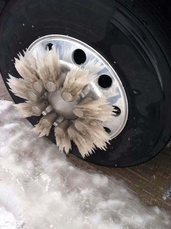 28 Icy Photos Proving Winter Is Not for the Faint-Hearted