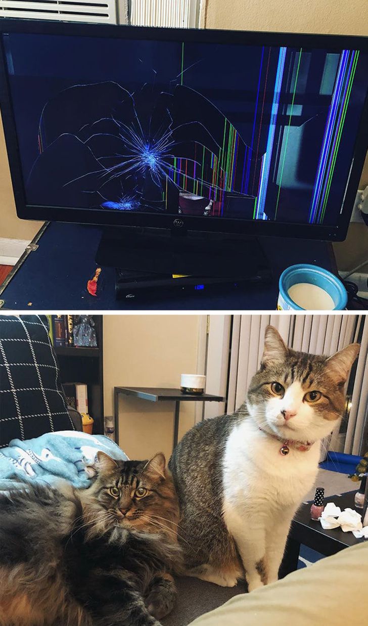 25 Unexpected Photos Showing That Sometimes Everything Goes Against You