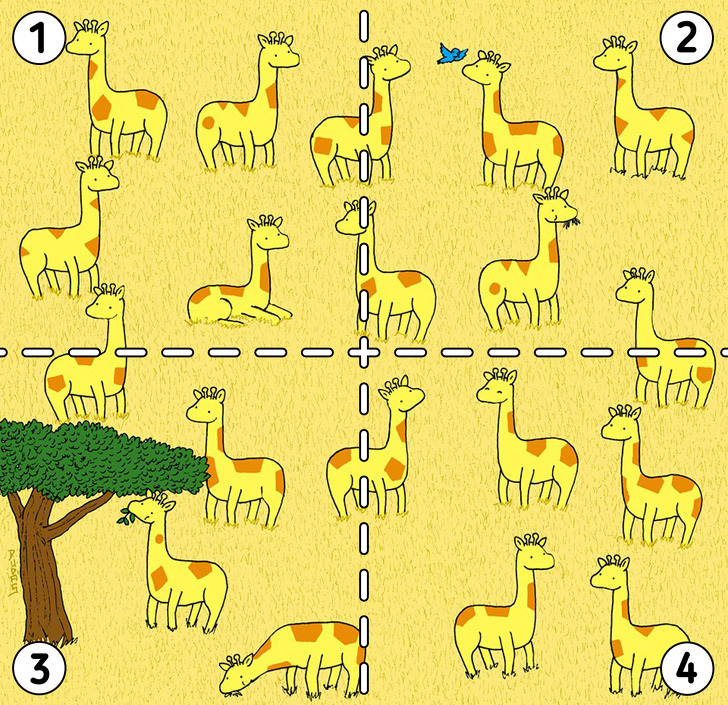 Which giraffe doesn’t have a pair? (Hint: Check the patterns!)