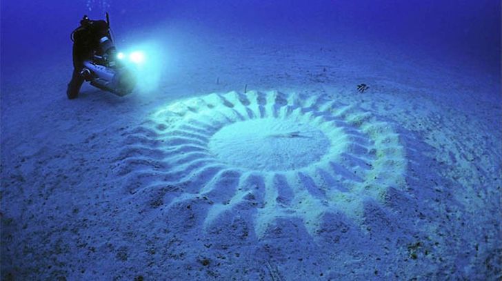 23 utterly amazing natural phenomena that are seemingly impossible