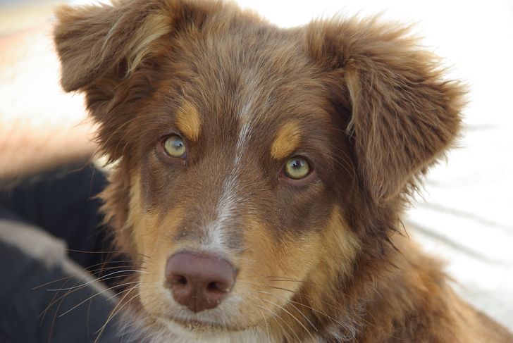 12 Things We Do That Dogs Absolutely Hate