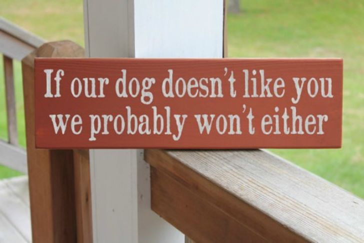 15+ Funny “Beware of the Dog” Signs and the Very Dangerous Dogs Behind Them