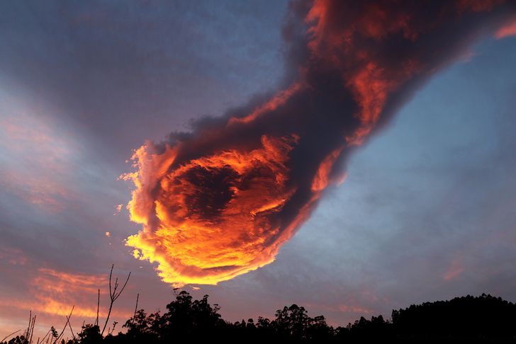 25 photos that prove the world is an utterly wonderful place