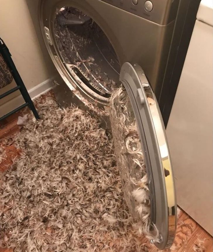 25 Unexpected Photos Showing That Sometimes Everything Goes Against You
