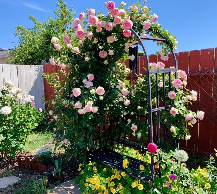 People Share Pics of Their Gardens in Bloom, and We Can Almost Sense That Magical Scent