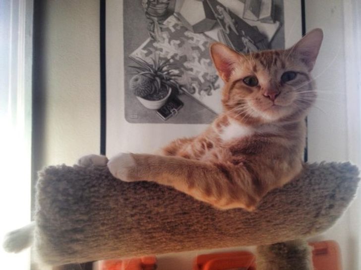 25 Exhilarating Photos That Will Make You Smile When You’re Having a Bad Day