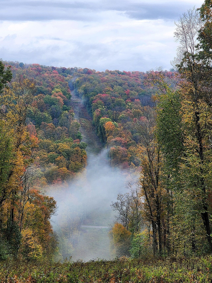 Fall colors in Allegheny National Forest, Pennsylvania, 2024