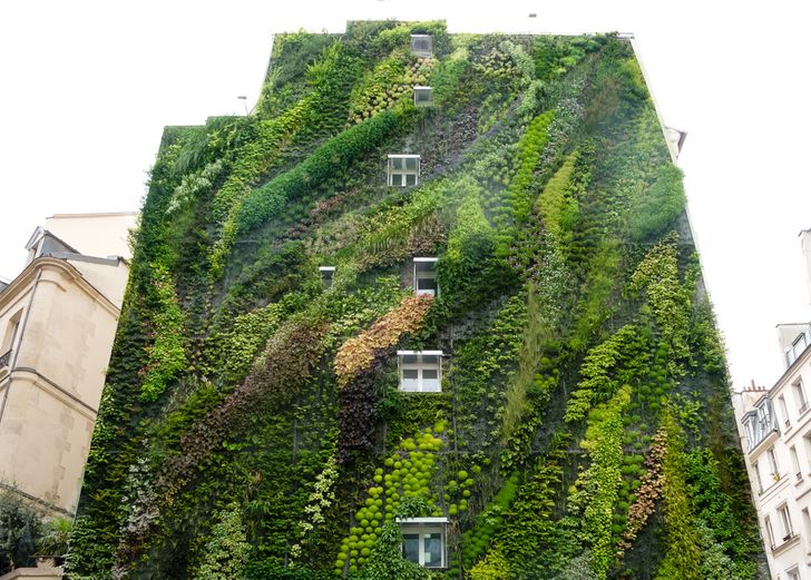 25 photos that prove the world is an utterly wonderful place