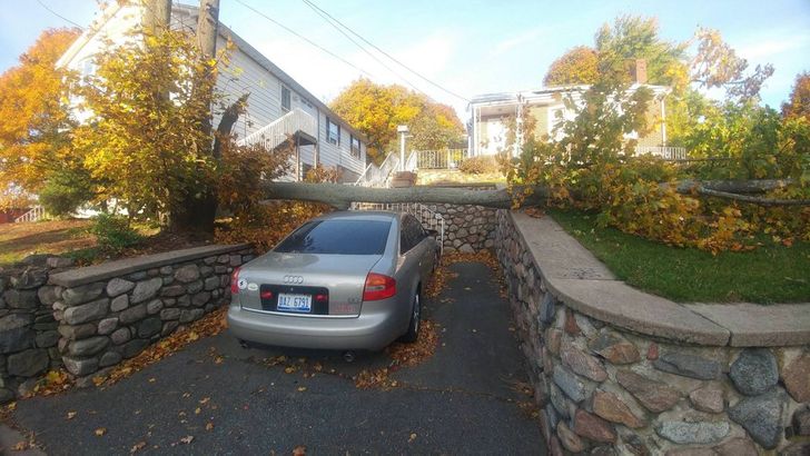 23 People Who Got Extremely Lucky When They Least Expected It