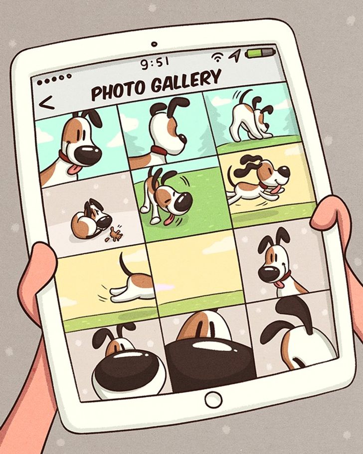 13 Comics About What We Do to Our Pets